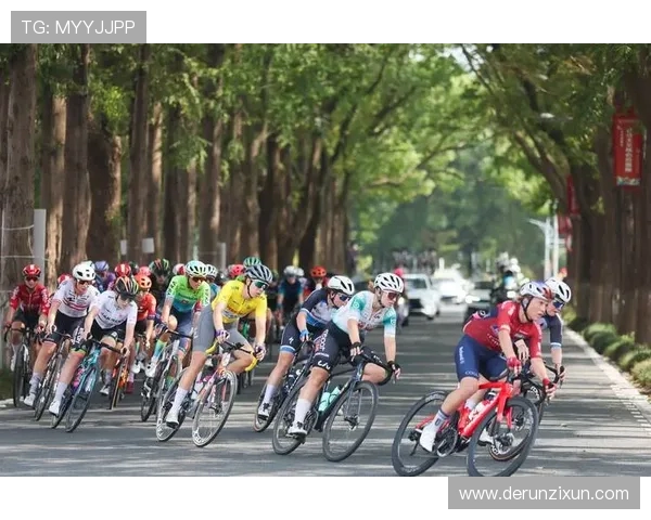 自行车选手比赛中的战机布防